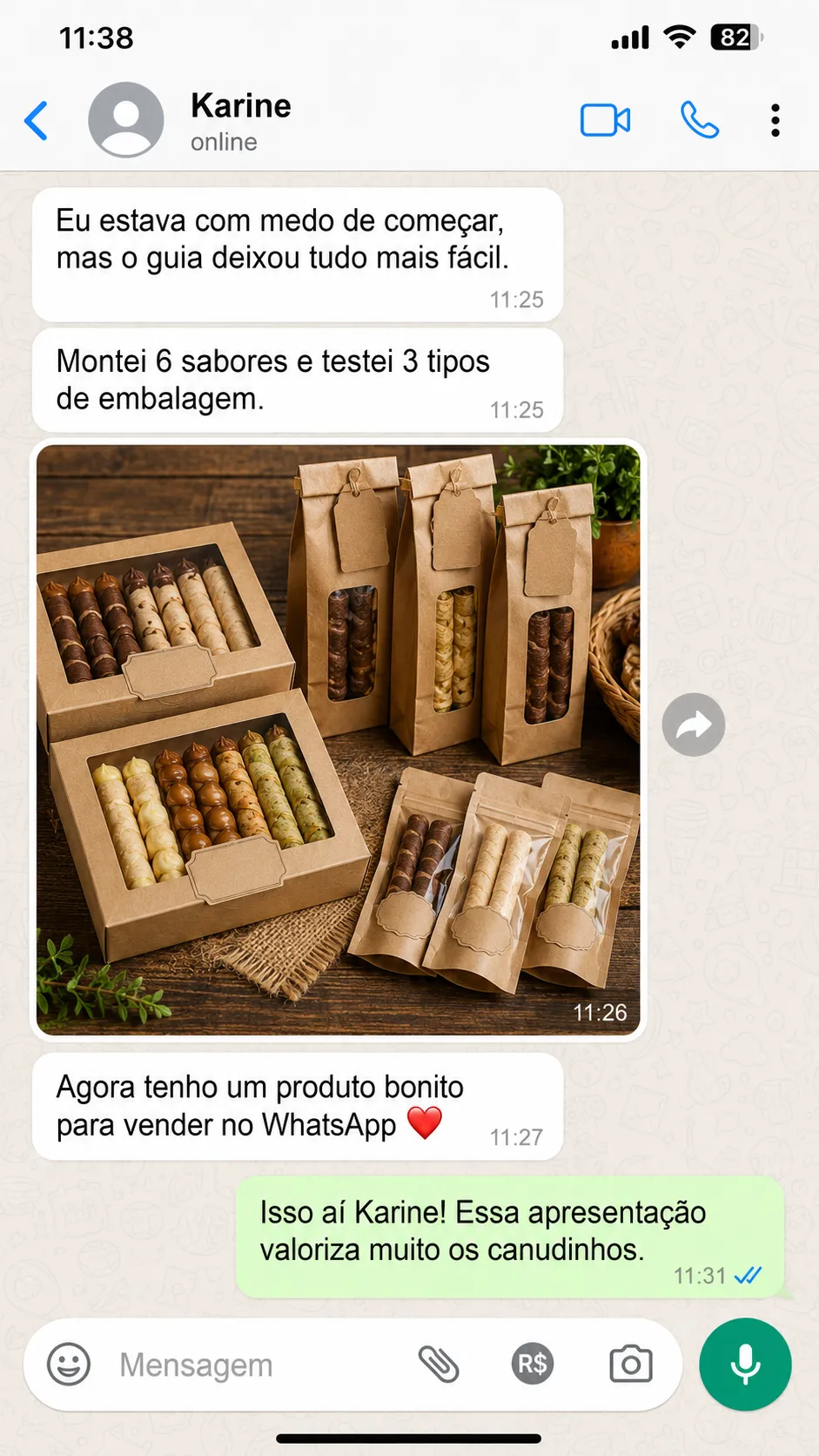 Print de conversa Karine