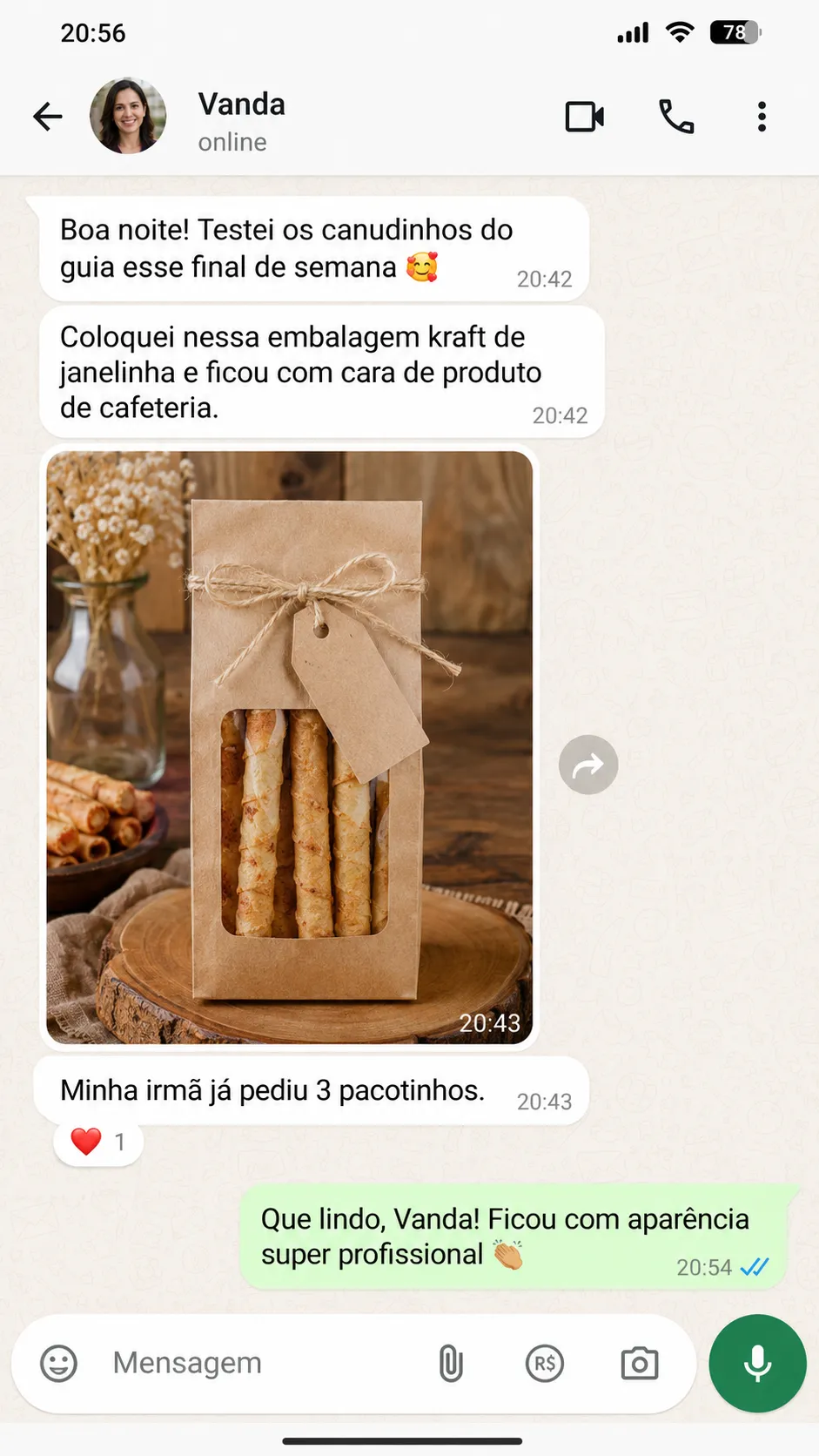 Print de conversa Vanda
